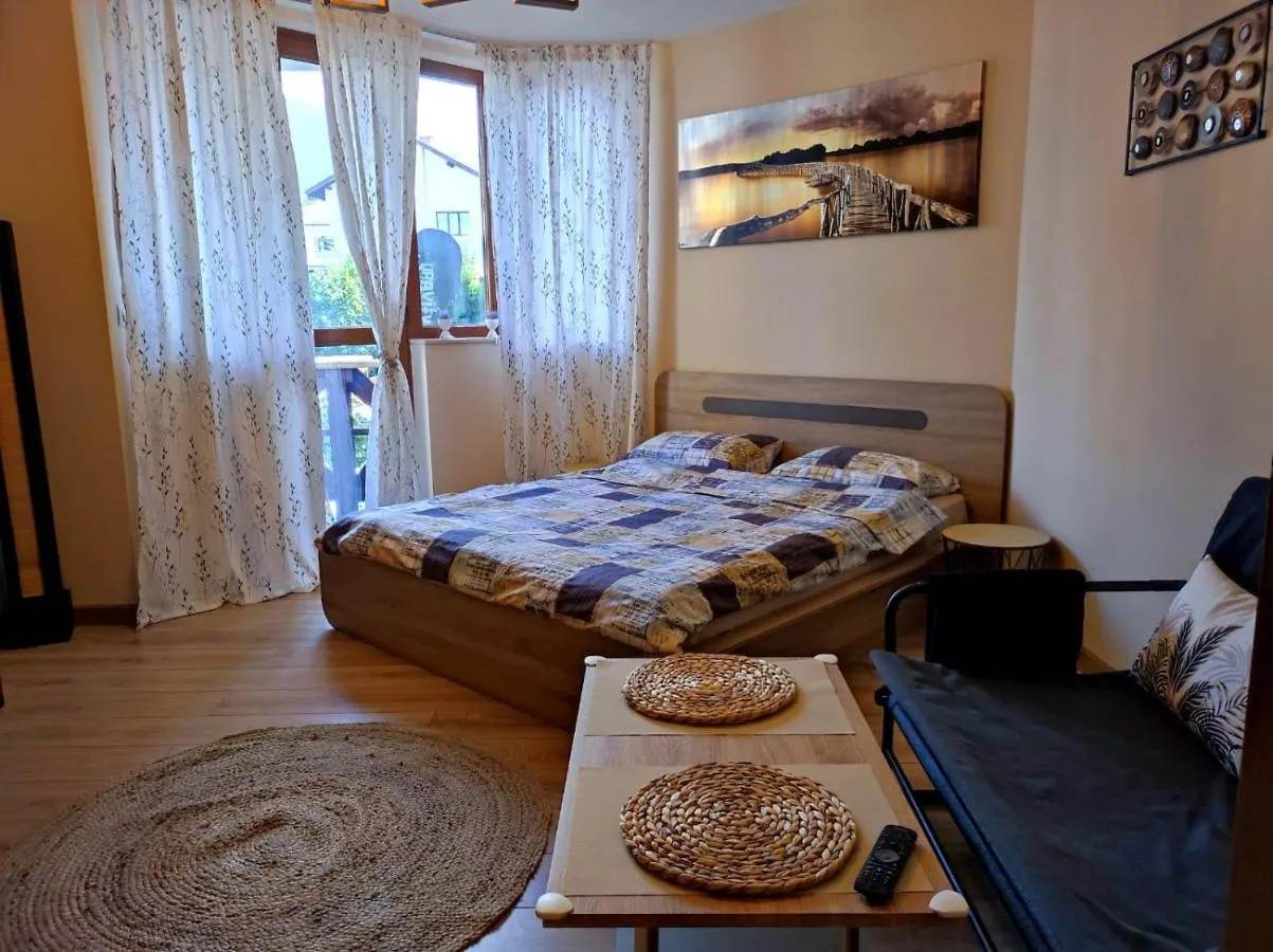 Vins Studio Bansko 0*,